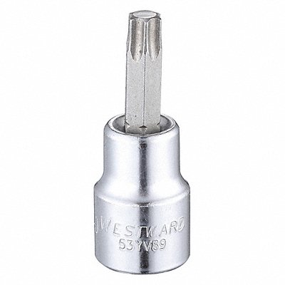 WESTWARD 53YV89 Socket Bit Steel 3/8 in TpSz T40