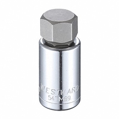 WESTWARD 54TM99 Socket Bit Steel 1/2 in TpSz 19 mm