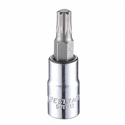 WESTWARD 54TN13 Socket Bit Steel 1/4 in TpSz T30
