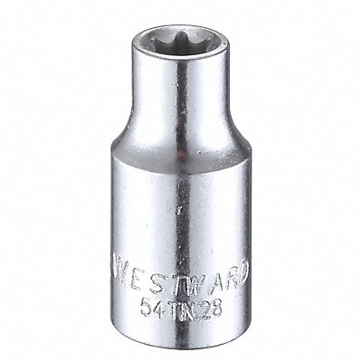 WESTWARD 54TN28 Socket Steel Chrome E6