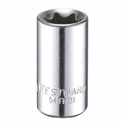 WESTWARD 54TN31 Socket Steel Chrome E10