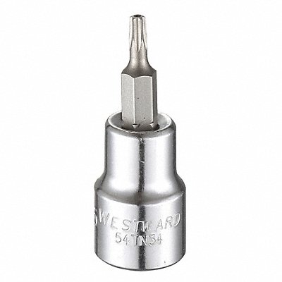 WESTWARD 54TN34 Socket Bit Steel 3/8 in TpSz T15
