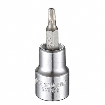 WESTWARD 54TN35 Socket Bit Steel 3/8 in TpSz T20