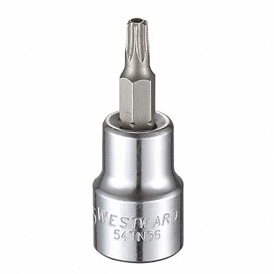 WESTWARD 54TN36 Socket Bit Steel 3/8 in TpSz T25