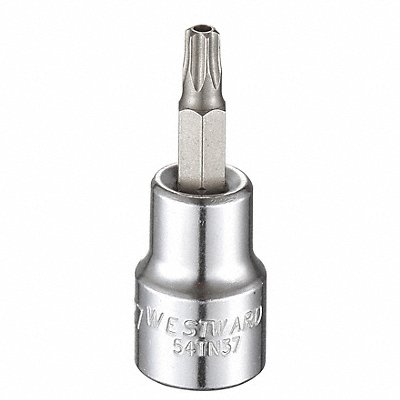 WESTWARD 54TN37 Socket Bit Steel 3/8 in TpSz T27