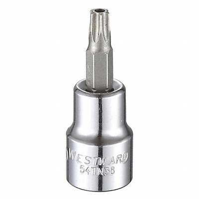 WESTWARD 54TN38 Socket Bit Steel 3/8 in TpSz T30