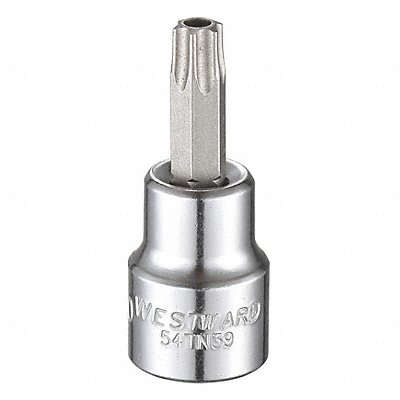 WESTWARD 54TN39 Socket Bit Steel 3/8 in TpSz T40