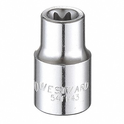 WESTWARD 54TN43 Socket Steel Chrome E10