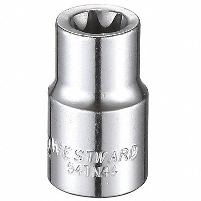 WESTWARD 54TN44 Socket Steel Chrome E12