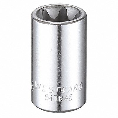 WESTWARD 54TN46 Socket Steel Chrome E16