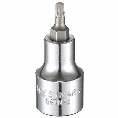 WESTWARD 54TN48 Socket Bit Steel 1/2 in TpSz T25