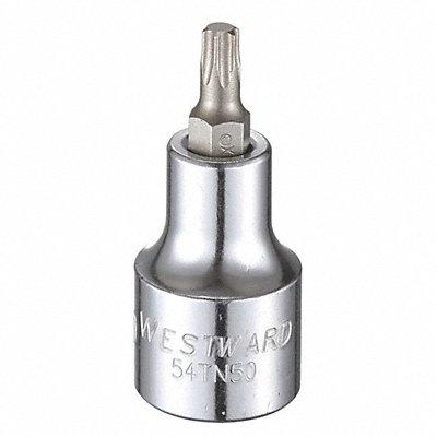 WESTWARD 54TN50 Socket Bit Steel 1/2 in TpSz T30