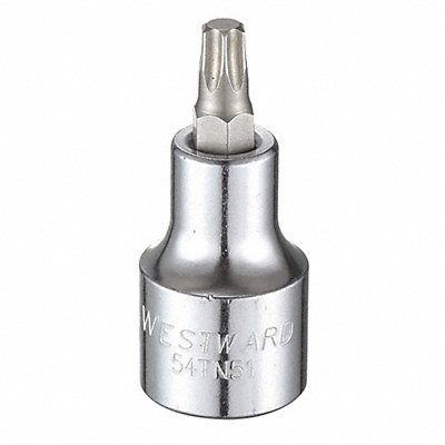 WESTWARD 54TN51 Socket Bit Steel 1/2 in TpSz T40
