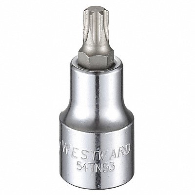 WESTWARD 54TN53 Socket Bit Steel 1/2 in TpSz T47