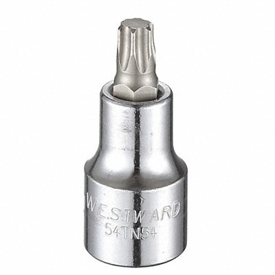 WESTWARD 54TN54 Socket Bit Steel 1/2 in TpSz T50