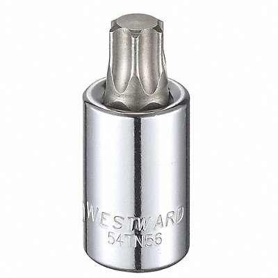 WESTWARD 54TN56 Socket Bit Steel 1/2 in TpSz T60