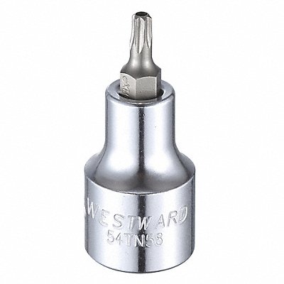 WESTWARD 54TN58 Socket Bit Steel 1/2 in TpSz T25