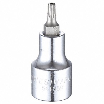 WESTWARD 54TN59 Socket Bit Steel 1/2 in TpSz T27