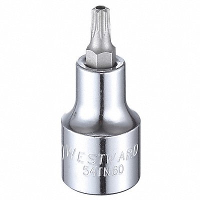 WESTWARD 54TN60 Socket Bit Steel 1/2 in TpSz T30