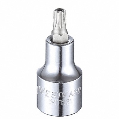 WESTWARD 54TN61 Socket Bit Steel 1/2 in TpSz T40