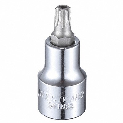 WESTWARD 54TN62 Socket Bit Steel 1/2 in TpSz T45