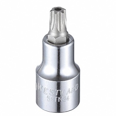 WESTWARD 54TN64 Socket Bit Steel 1/2 in TpSz T50