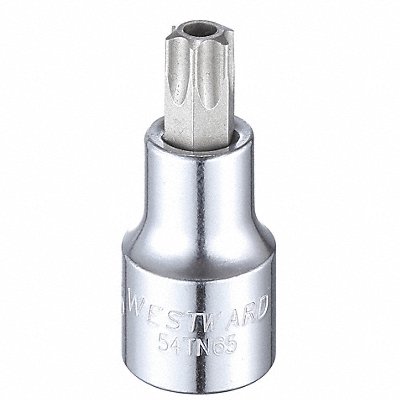 WESTWARD 54TN65 Socket Bit Steel 1/2 in TpSz T55