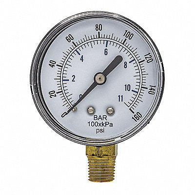 PIC GAUGES SEP101D254FBSPT Pressure Gauge Nominal 2-1/2 Dial