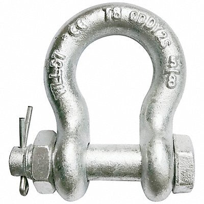 GRAINGER 55AY33 Anchor Shackle 10 000 lb Alloy Steel