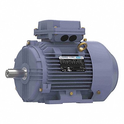 MARATHON MOTORS TCA2P22AP211GAA009 GP Motor 3 HP 1 770 RPM 575V AC 100L
