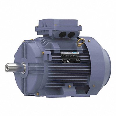 MARATHON MOTORS TCA7P51AP211GAA009 Metric Motor 10 HP 3 540 RPM 575V 132S