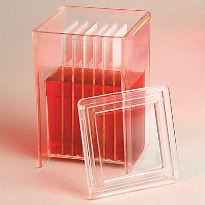 GLOBE SCIENTIFIC 513209 Staining Jar 57x27x57 mm PK4