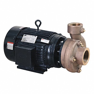 DAYTON 55JJ60 Centrifugal Pump 3 Ph 230/460VAC