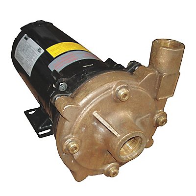 DAYTON 55JJ69 Straight Centrifugal High Head Pump 1 HP