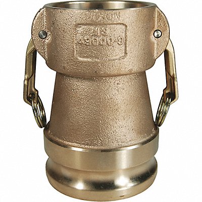 DIXON VALVE  COUPLING 3020DABR Cam and Groove Coupling 2  3 Brass