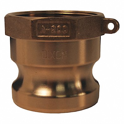 DIXON VALVE  COUPLING G250ABR Cam and Groove Adaptor 2-1/2 Brass