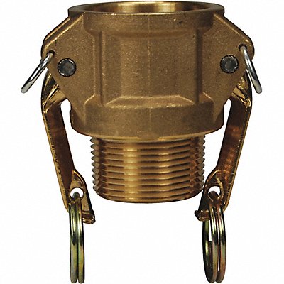 DIXON VALVE  COUPLING G250BBR Cam and Groove Coupling 2-1/2 Brass