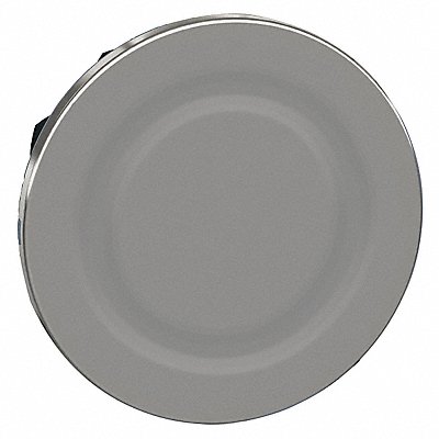 SCHNEIDER ELECTRIC ZB4FSZ3 Blanking Plug 30 mm Metal Chrome
