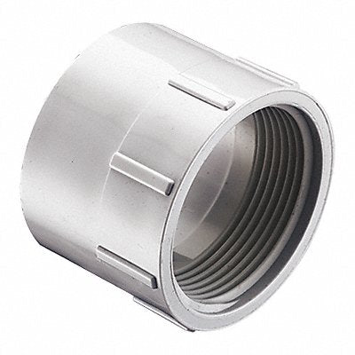 GRAINGER P101040 Female Adaptor Schedule DWV 4 in White
