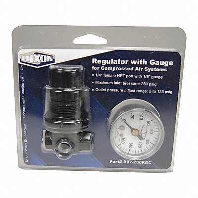 DIXON VALVE  COUPLING R07200RGC Series 1-Carded Miniature Regulator 1/4