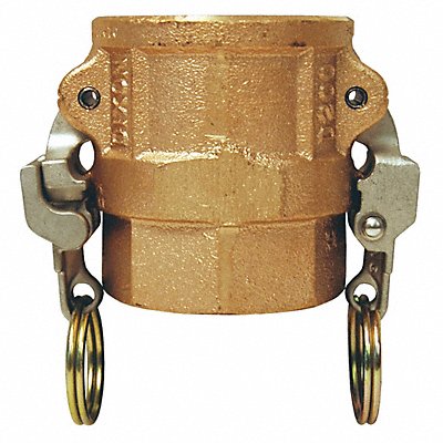 DIXON VALVE  COUPLING BD125EZ Cam and Groove Coupling 1-1/4 Brass