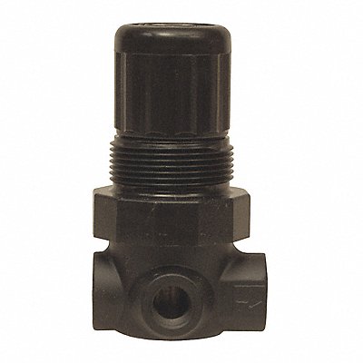 DIXON VALVE  COUPLING R07200R Series 1-Miniature Regulator 1/4