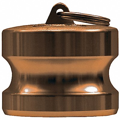 DIXON VALVE  COUPLING G150DPBR Dust Plug Type DP Forged Brass 1-1/2