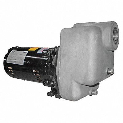DAYTON 5GUP3 Self Priming Pump 1 HP 316 SS