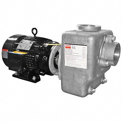 DAYTON 12N811 Self Priming Pump 3 HP 316 SS
