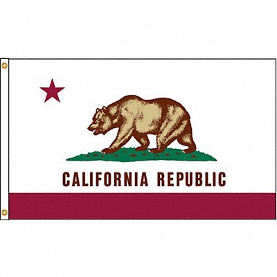ANNIN FLAGMAKERS 140470 D3771 California Flag 4x6 Ft Nylon