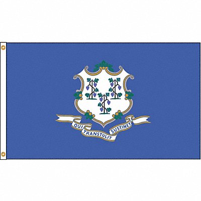 ANNIN FLAGMAKERS 140780 D3772 Connecticut Flag 5x8 Ft Nylon