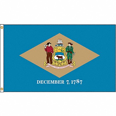 ANNIN FLAGMAKERS 140870 D3771 Delaware Flag 4x6 Ft Nylon