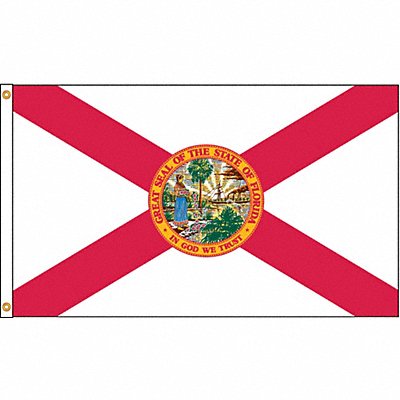 ANNIN FLAGMAKERS 140980 D3772 Florida Flag 5x8 Ft Nylon