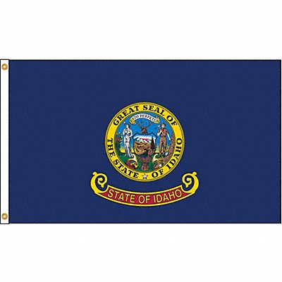 ANNIN FLAGMAKERS 141370 D3771 Idaho Flag 4x6 Ft Nylon